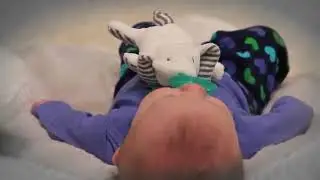 Mary Meyer WubbaNub Soft Toy and Infant Pacifier, Lily Llama Reviews
