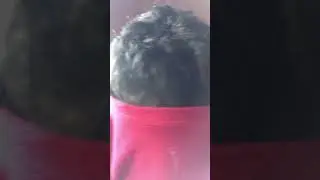 Face revel 🤨