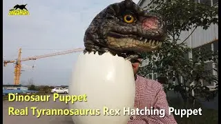 Real Tyrannosaurus Rex Hatching Dinosaur Puppet | Dinosaur Puppet