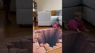 Chihuahua Panic Turns Into Revenge #trending #viral #funny