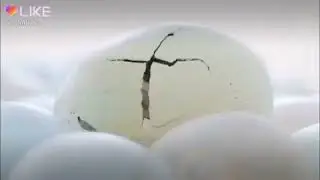 Итиии