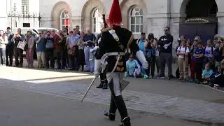 Household Cavalry, inspection