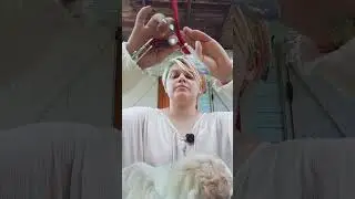 Собачья распаковка)))Мелочи для мелочи 🤣#dogstuff #игрушкисобаки #полезности