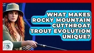 What Makes Rocky Mountain Cutthroat Trout Evolution Unique? - Chasing Big Fish