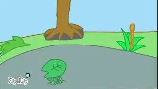 Tadpole life cycle