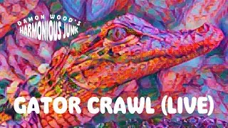GATOR CRAWL (LIVE) - Audio - Damon Wood's Harmonious Junk