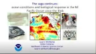 HMSc Research Seminar July 11, 2019