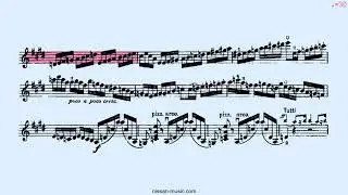 Mendelssohn Violin Concerto - Mov. 3 - Study From Very Slow To Final Tempo - Violin Lesson