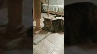 изум вас целует