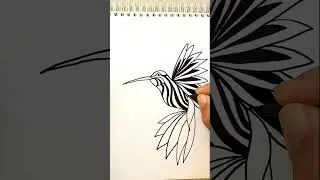 How to Draw Hummingbird Easy Simple Tutorial Art Illustration Idea