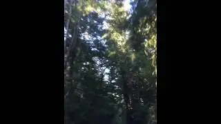 La honda