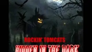 HIDDEN IN THE DARK by Rockin' Tomcats