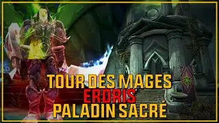 Erdris - POV Paladin sacré - Tour des mages - 9.1.5