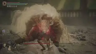 Consort Radahn carian retaliation