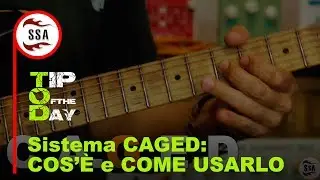 Studio: CAGED, cos'è e a cosa serve. Come applicarlo per studiare le scale e le note sul manico