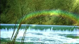LoFi Relaxing Nature Video HD - LOOP