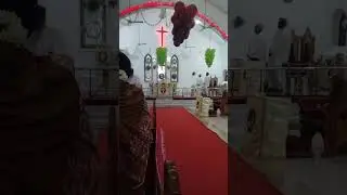 All Hail the Power of Jesus Name (Diadem) in Tamil Version 💖