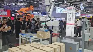 Elite Robots CP Series Palletizing Solution | Solu&ccedil;&atilde;o de Paletiza&ccedil;&atilde;o Modular Turnkey