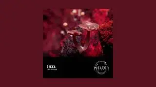DIKKA - Different Times [WELTER184]