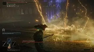 Divine Beast Dancing Lion Mage Build Solo