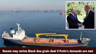 Russia may revive Black Sea grain deal if Putin's demands are met | NTN TIMES | 05.09.23
