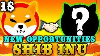 NEW SHIBA INU FEATURES - PUMP COMING SOON?