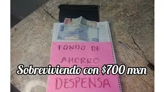 Como estirar 700 pesos MXN para una semana de comidas