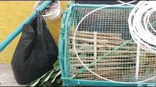 traditional fishing, all professional anglers and fishermen are amazed | fishing mania