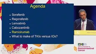 How to Integrate New Agents in HCC: The Role of TKIs