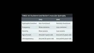 💥  Duchenne  muscular  dystrophy ( DMD )   Vs   Becker  muscular  dystrophy ( BMD )  💥