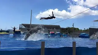 VISITANDO EL ZOO ACUÁTICO MARINELAND