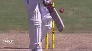 Who bowled Cook best? Mitch or Ryno?