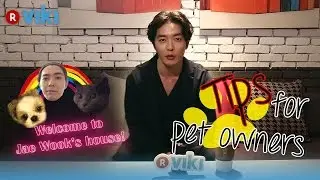 Kim Jae Wook on Tips For Pet Owners | Viki Exclusive Interview [Eng Sub]