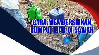 TASYA ROSMALA - CINTA DAN AIR MATA, TAJAMNYA KARANG || OM ADELLA FULL ALBUM TERBARU 2025