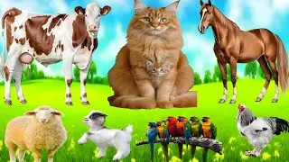 Cute Farm Animal Sounds: Cow, Goat, Sheep, Horse, Dog & Cat | Animals Video