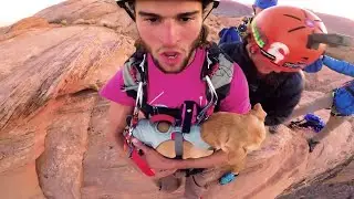 Watch Daredevil Dog Jump Off Cliff With Adrenaline Junkie Owner