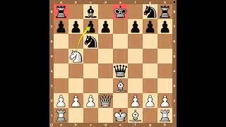 The Steinitz Slap &ndash; Rxd8# Ends It All! #ChessTrap #Steinitz #BrilliantCheckmate #scotchgame