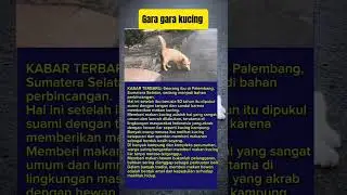 Kasih Makan Kucing, Ibu di Palembang Dipukul Suami     #kucing #cat #news