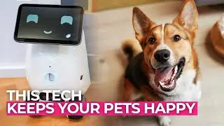 This AI Tech Understands Your Pet Better Than You Do