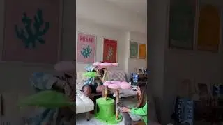 Unboxing the cutest cat tree 🌸 #shorts #youtubeshorts #cat #pets #viral #kitten