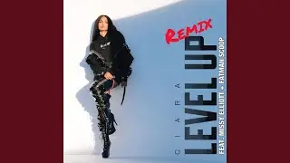 Level Up (feat. Missy Elliott & Fatman Scoop) (Remix)