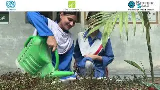 Shehersaaz PROGRESSIVE Schools