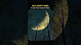 Hunters moon is coming...! Will you watch it 😮🤯 #moon #huntersmoon #space
