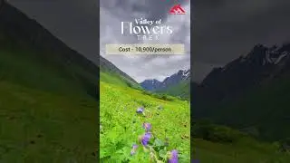 Valley of flowers Trek 2023 | Trek The Himalayas