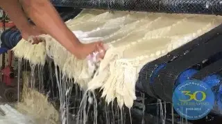 Professional Oriental Rug Cleaners Fort Lauderdale