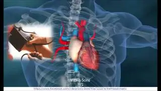 Hyper tension rythme cardiaque - 432 Hz
