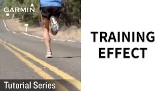 Tutorial – Training Effect
