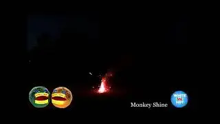 Monkey Shine - Fountain