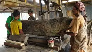Monster Rain Tree Takedown &ndash; Skill vs. Strength in Extreme Logging