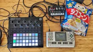 Why i visited this Pool that i only knew from a Painting ? (circuit tracks x qy70 x nts-1)